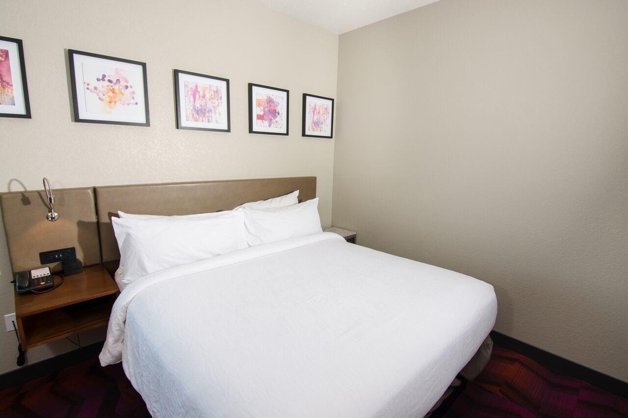 Hilton Garden Inn Tampa Suncoast Parkway Lutz Exteriör bild