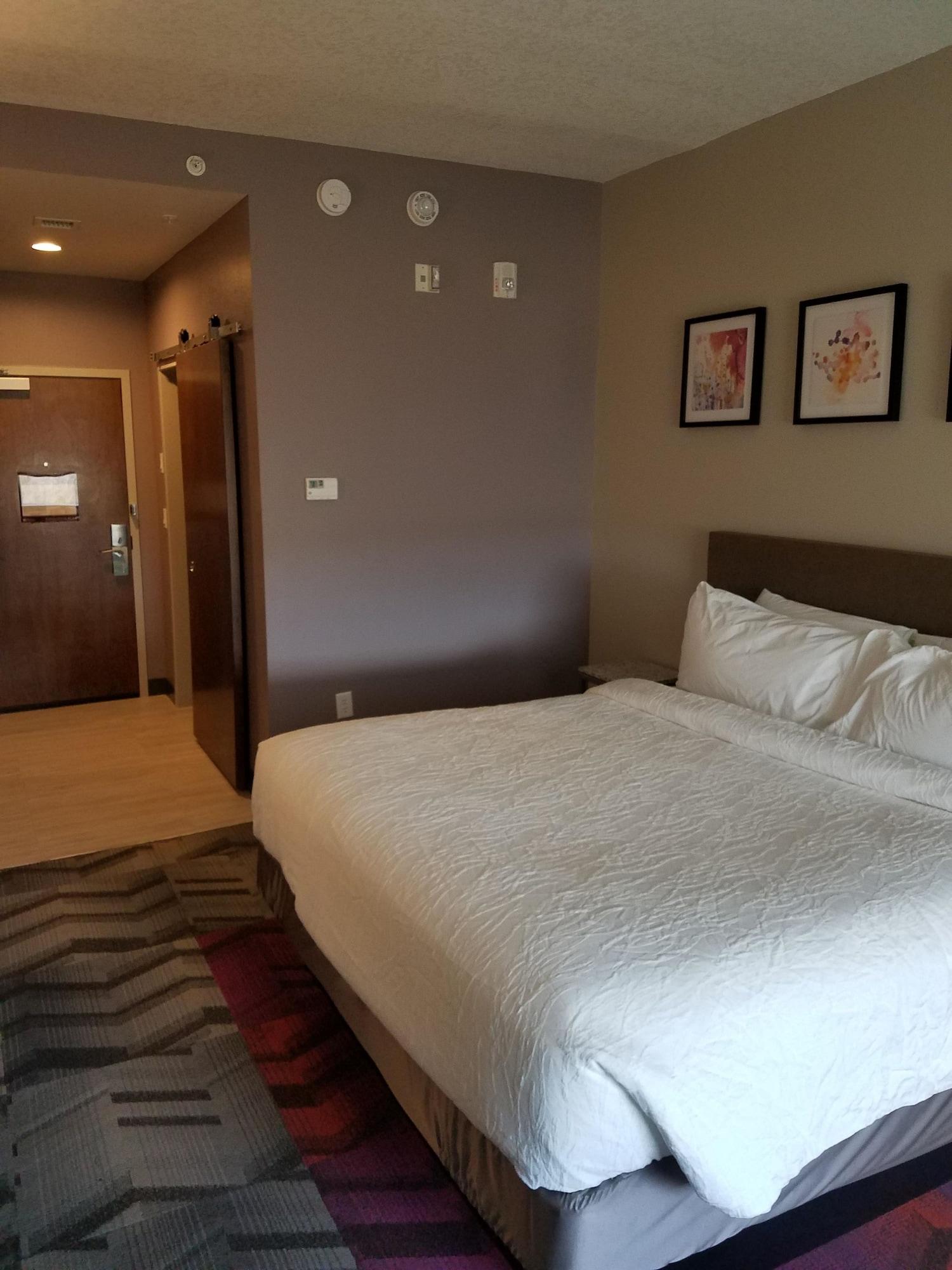 Hilton Garden Inn Tampa Suncoast Parkway Lutz Exteriör bild