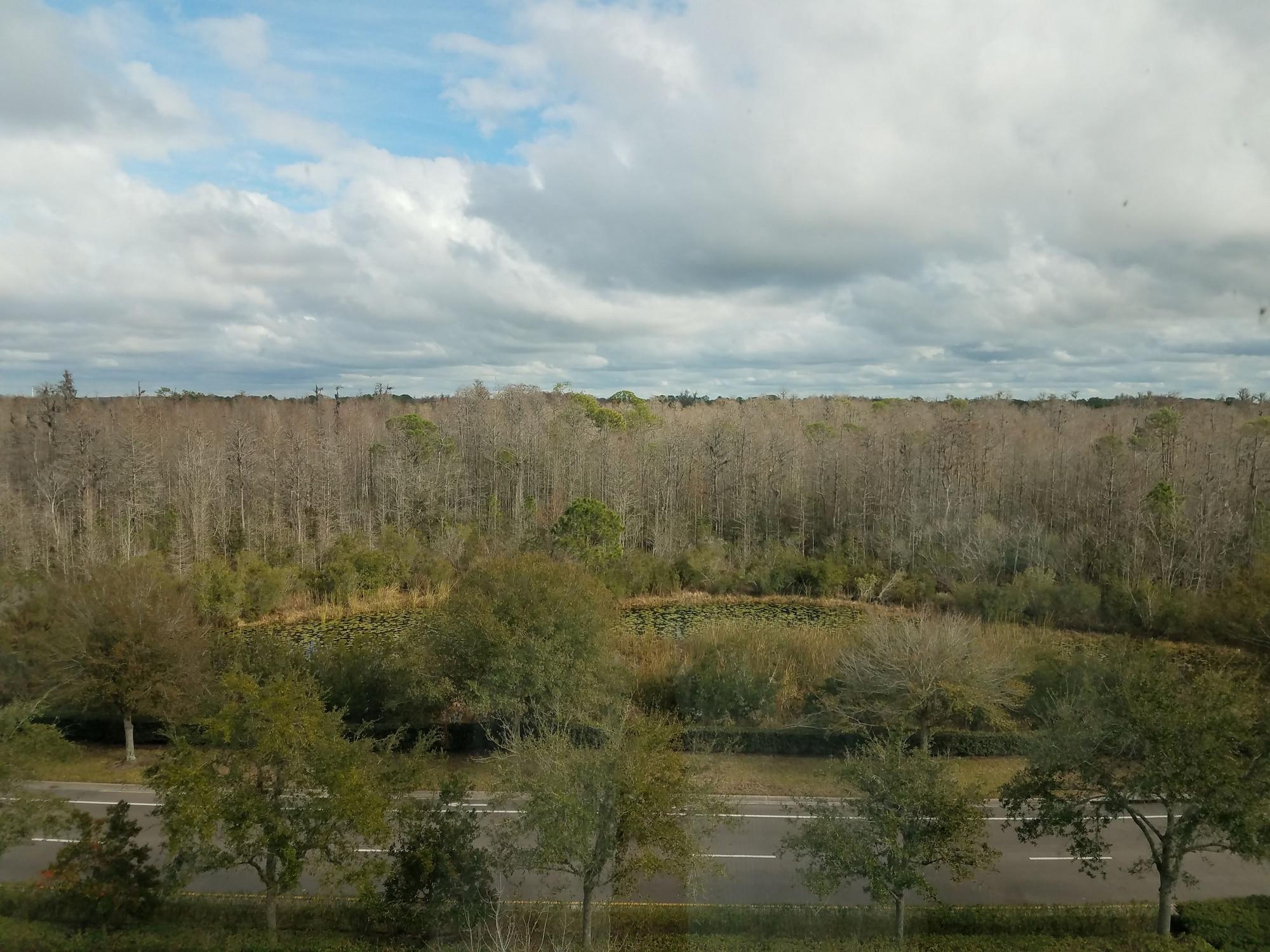 Hilton Garden Inn Tampa Suncoast Parkway Lutz Exteriör bild