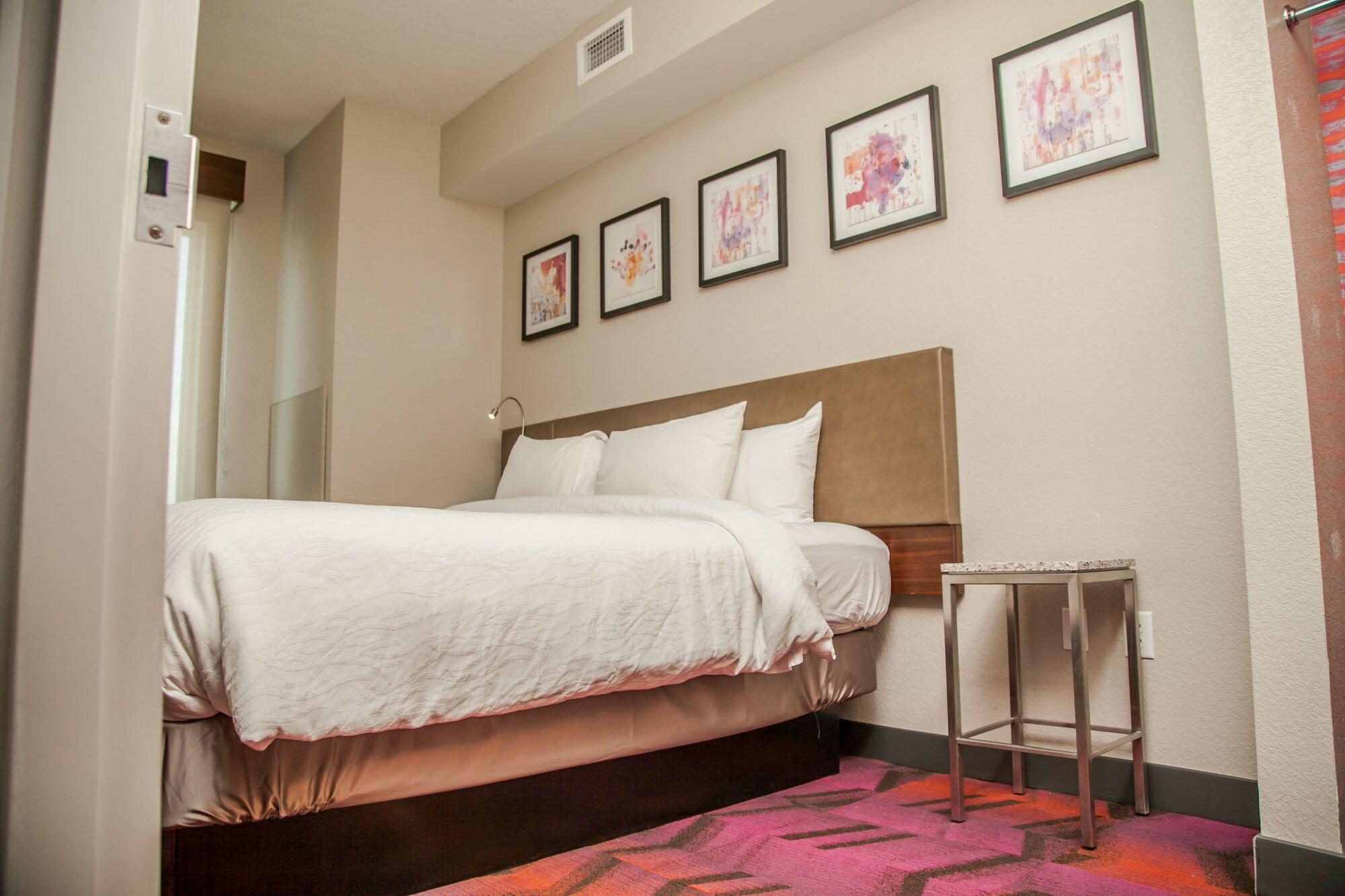 Hilton Garden Inn Tampa Suncoast Parkway Lutz Exteriör bild