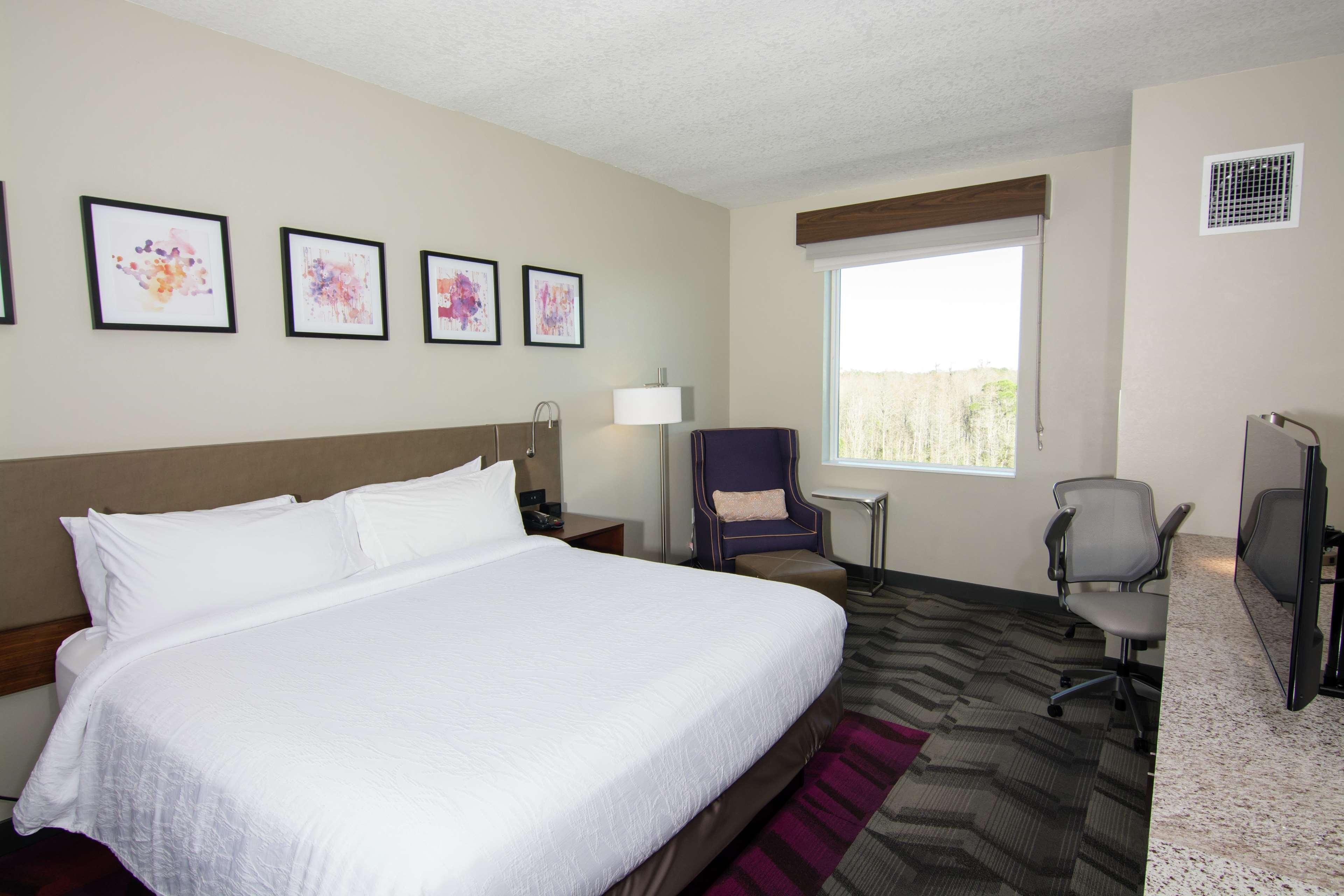 Hilton Garden Inn Tampa Suncoast Parkway Lutz Exteriör bild
