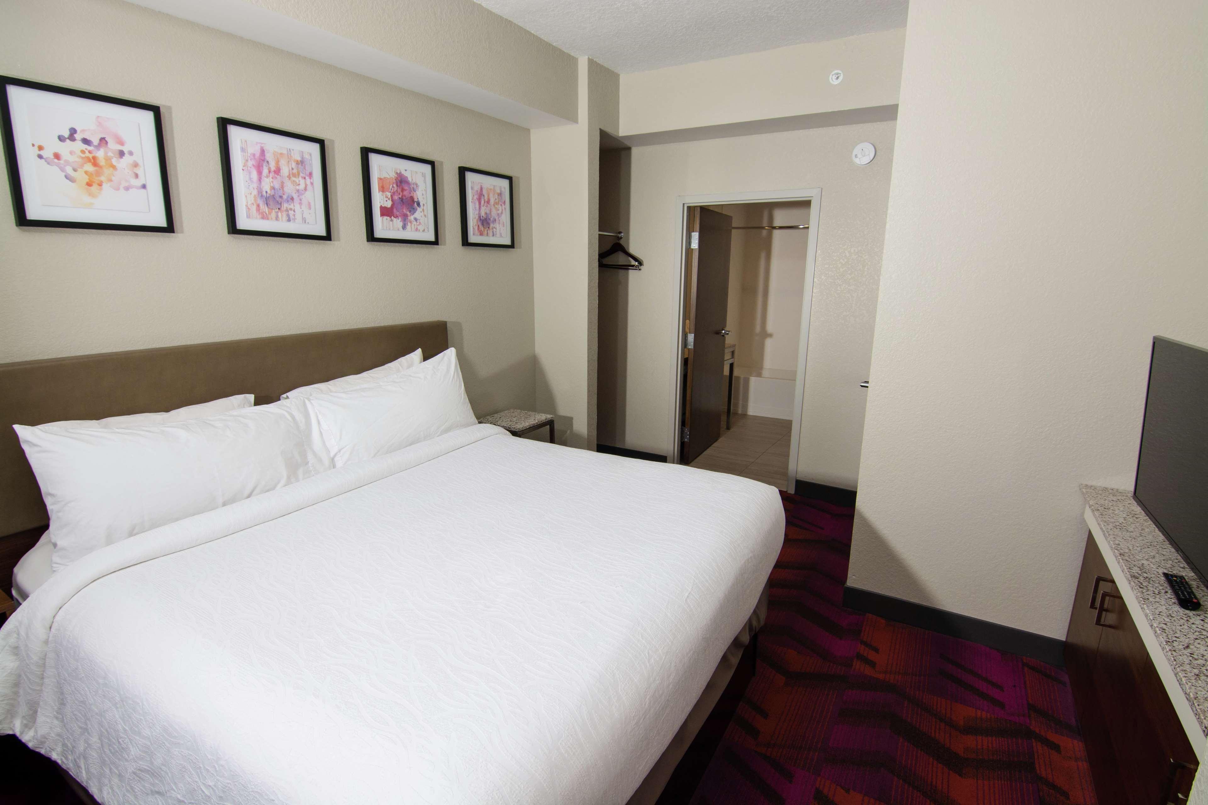 Hilton Garden Inn Tampa Suncoast Parkway Lutz Exteriör bild