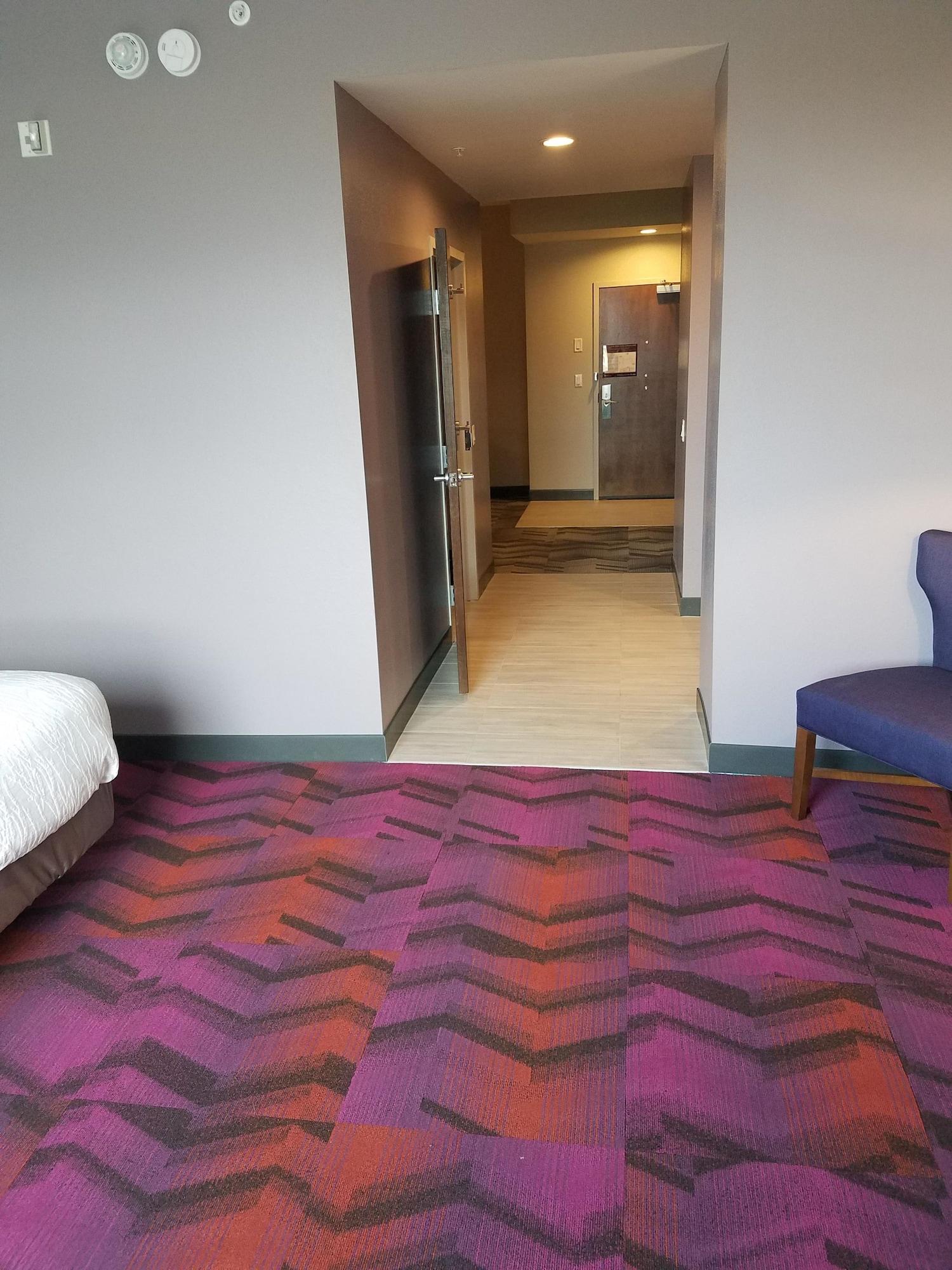 Hilton Garden Inn Tampa Suncoast Parkway Lutz Exteriör bild