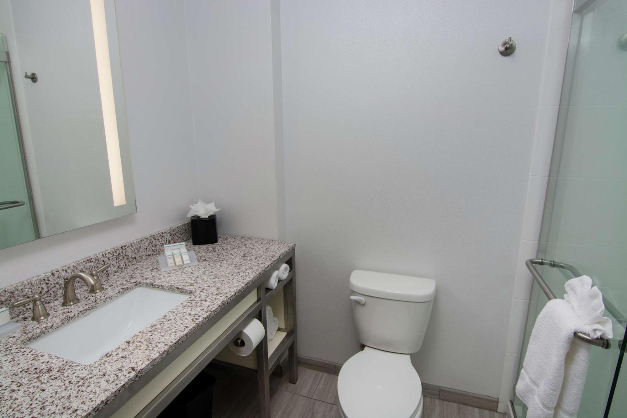 Hilton Garden Inn Tampa Suncoast Parkway Lutz Exteriör bild